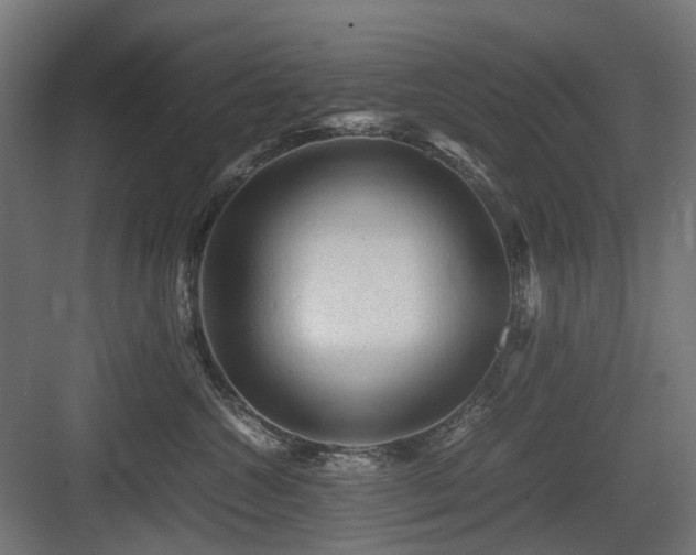 X0000083640572200702121127