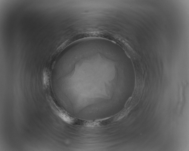 X0000083640576200702121127