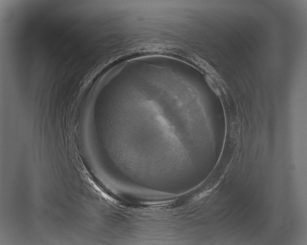 X0000083640577200702121126