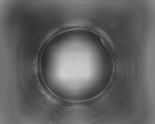 X0000083640578200702121126
