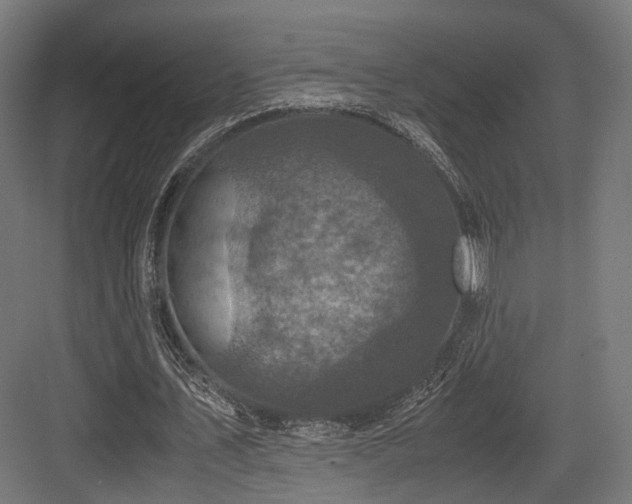 X0000083640579200702121126