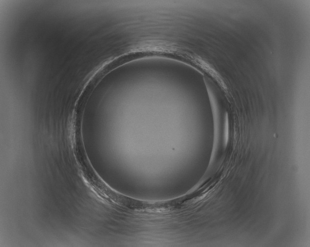 X0000083640580200702121126