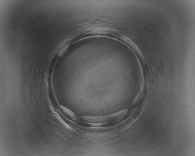 X0000083640581200702121126