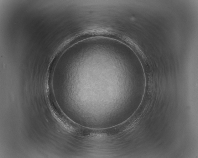 X0000083640582200702121126