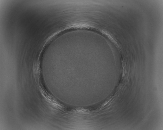 X0000083640583200702121126