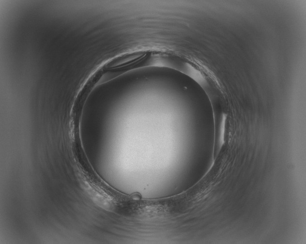X0000083640584200702121126