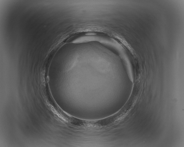 X0000083640585200702121126