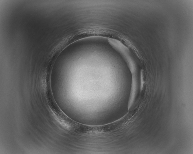 X0000083640586200702121126
