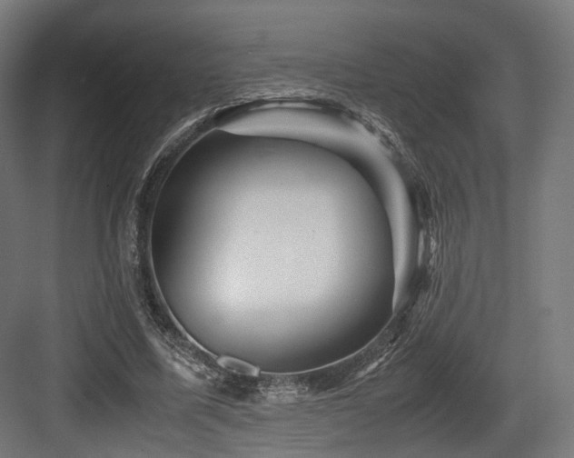 X0000083640587200702121126
