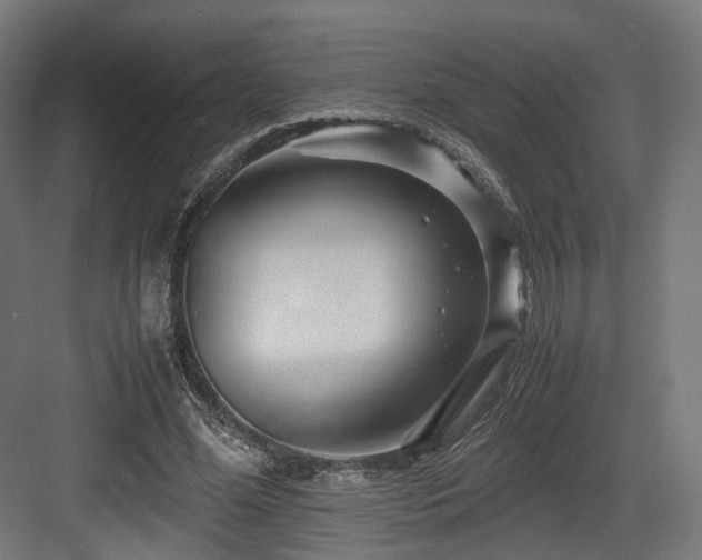 X0000083640588200702121126