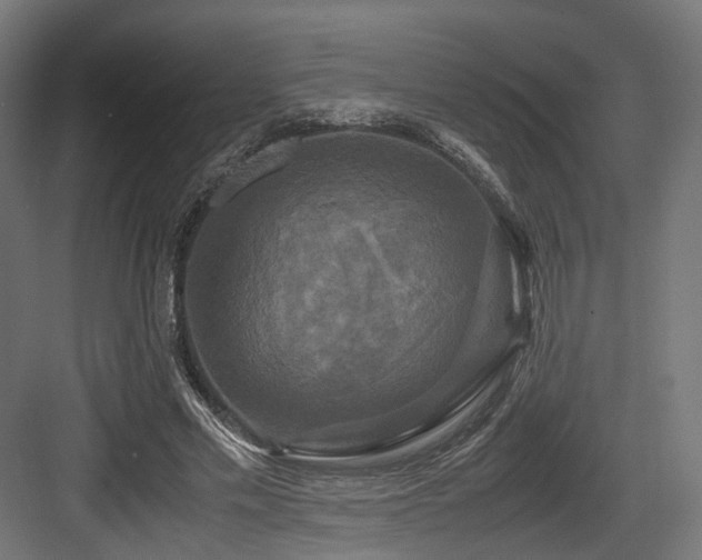 X0000083640589200702121126