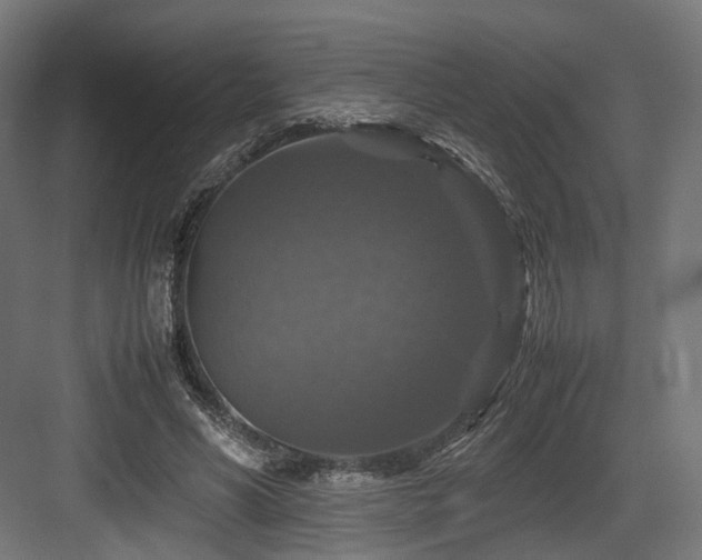 X0000083640590200702121126