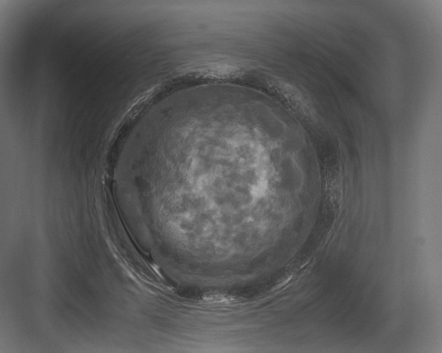 X0000083640591200702121126
