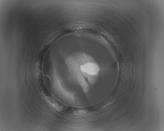 X0000083640594200702121126