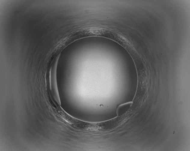 X0000083640595200702121126