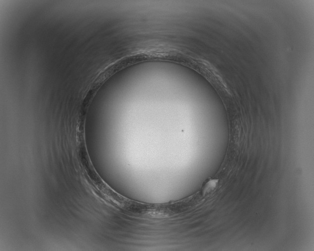 X0000083640596200702121126