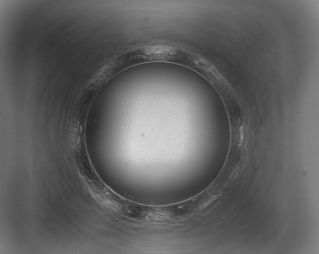 X0000083640599200702121126
