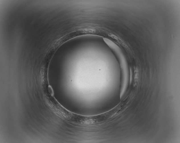 X0000083640600200702121126