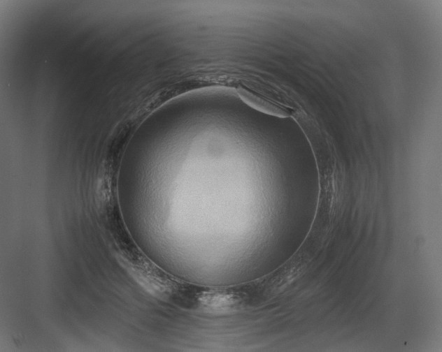 X0000083640602200702121126