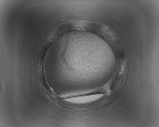X0000083640603200702121126