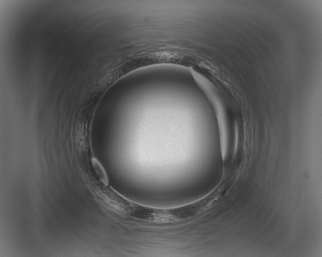 X0000083640605200702121126