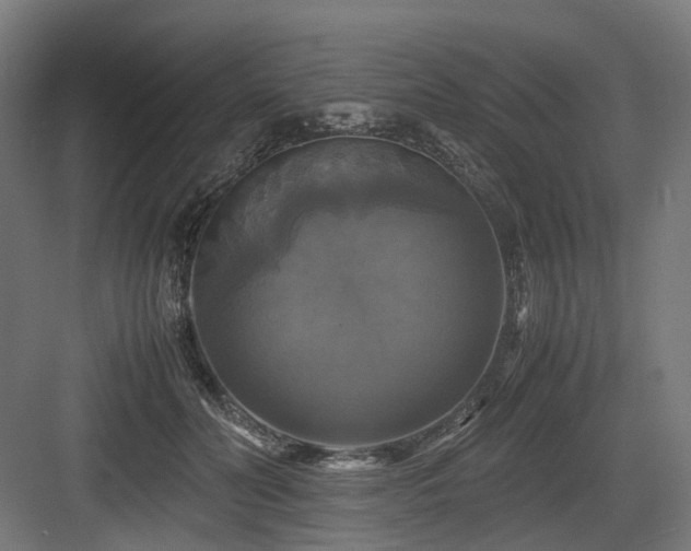 X0000083640606200702121126