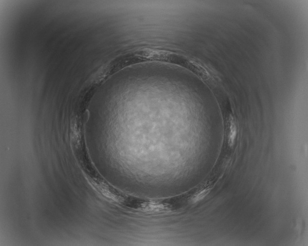 X0000083640607200702121126