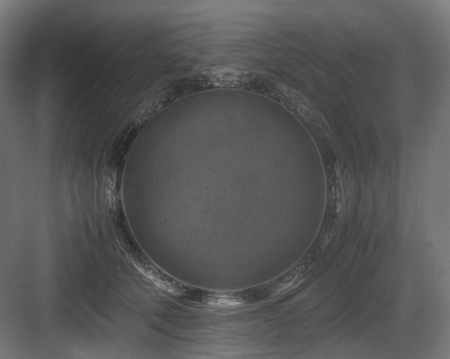 X0000083640610200702121126