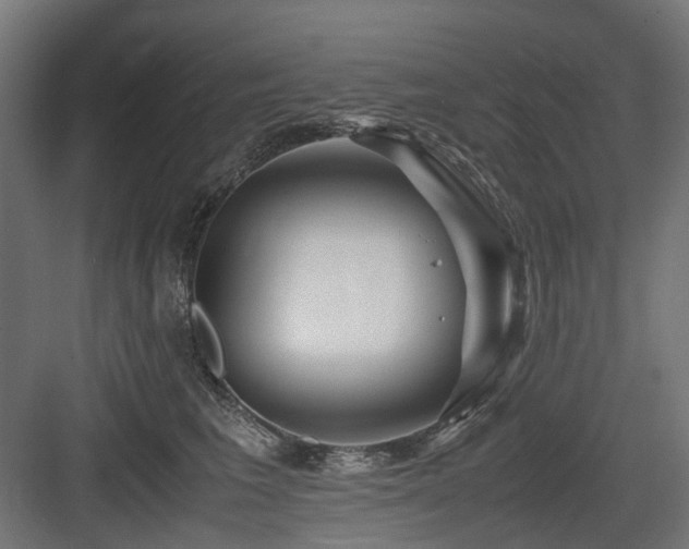 X0000083640613200702121126