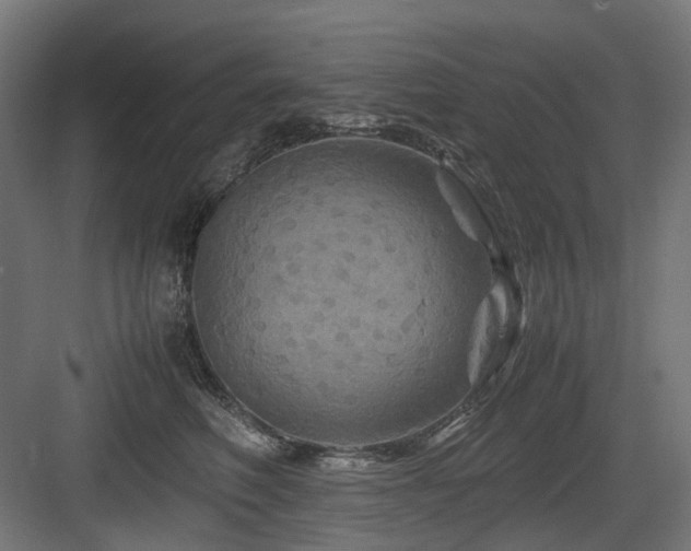X0000083640614200702121126