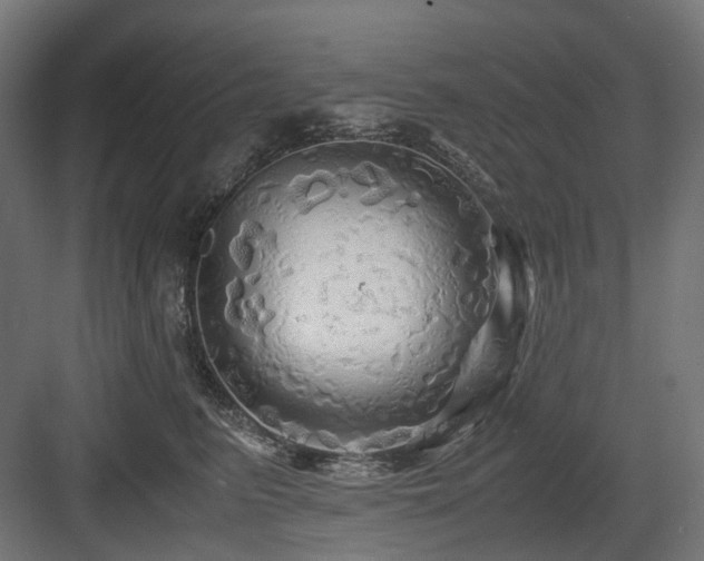 X0000083640615200702121126