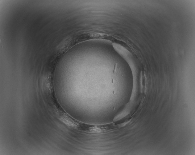 X0000083640616200702121126