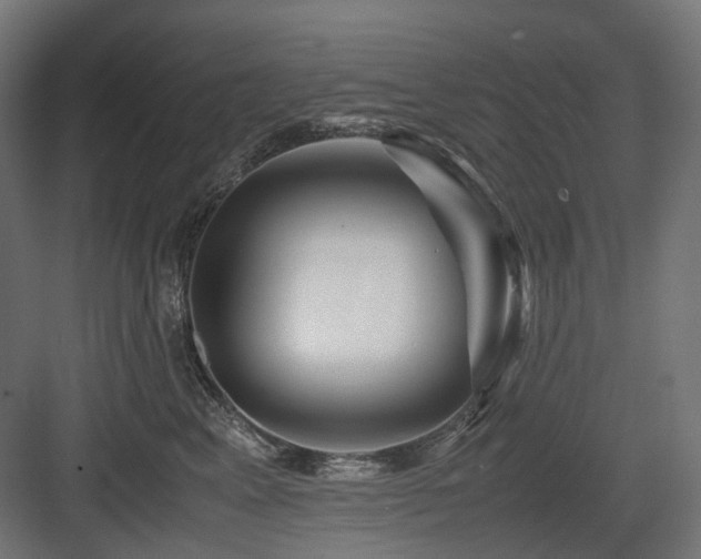 X0000083640617200702121126