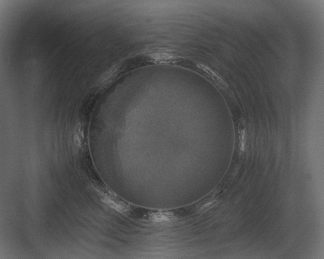 X0000083640618200702121125