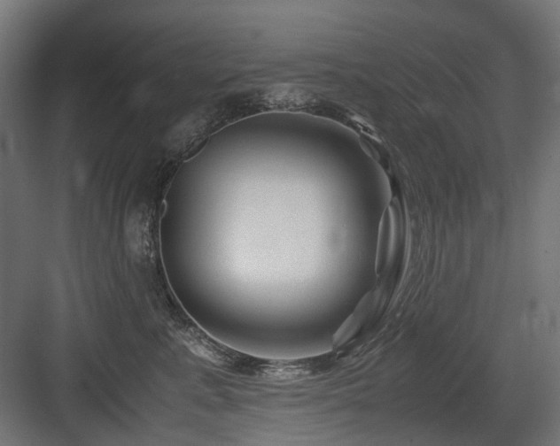X0000083640619200702121125
