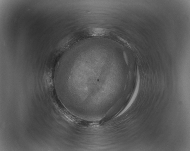 X0000083640620200702121125