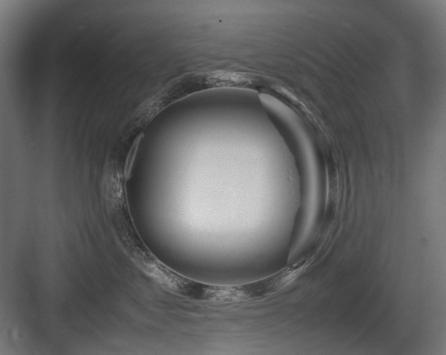 X0000083640621200702121125