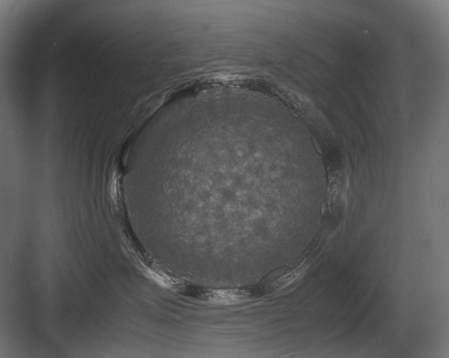 X0000083640623200702121125