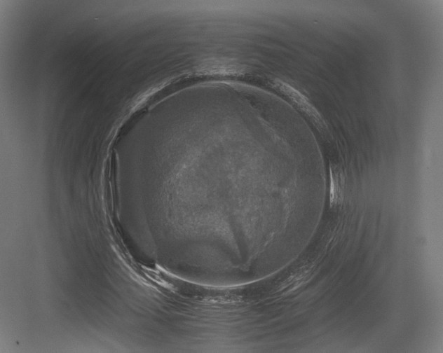 X0000083640627200702121125