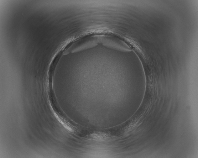X0000083640630200702121125