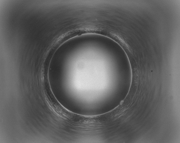 X0000083640631200702121125
