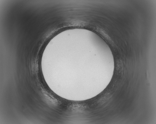 X0000083640632200702121125