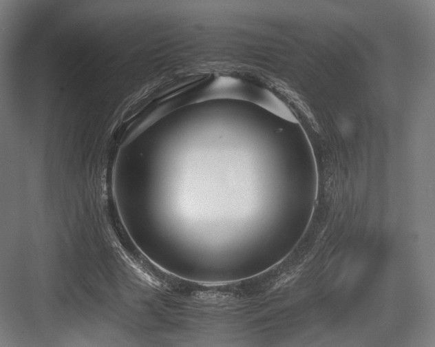 X0000083640633200702121125