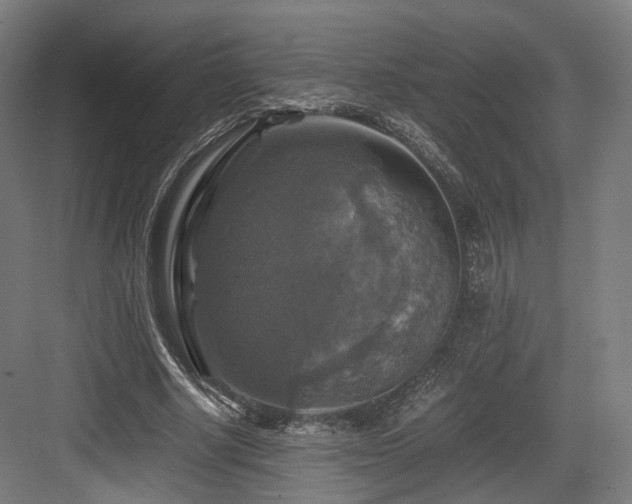 X0000083640634200702121125