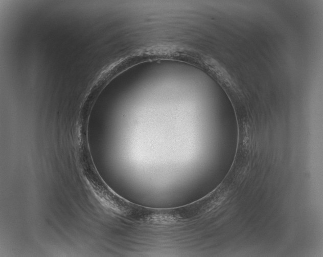 X0000083640636200702121125