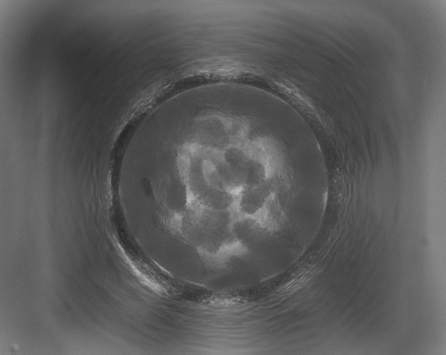 X0000083640638200702121125