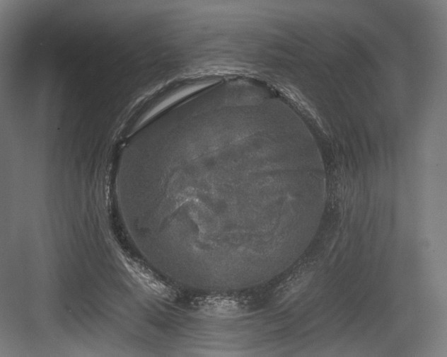 X0000083640640200702121125