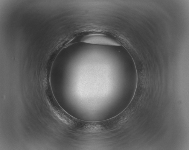 X0000083640642200702121125