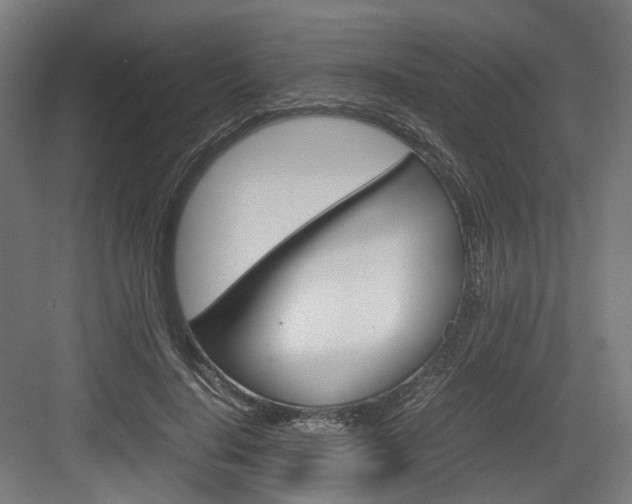 X0000083640644200702121125