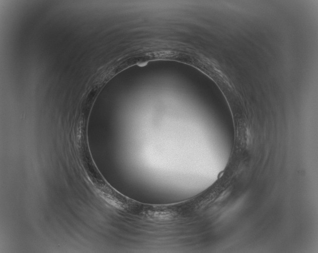 X0000083640645200702121125